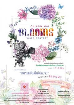 ประกวดคลิปวีดีโอ หัวข้อ “เทศกาลเชียงใหม่เบิกบาน : Chiang Mai Blooms”