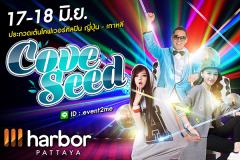 ประกวดเต้น "Harbor Pattaya Cove Seed 2017" 