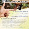ประกวดภาพถ่าย "สวนสัตว์ของเรา" ครั้งที่ 2 ภายใต้แนวคิด "Amazing ZOO Thailand"