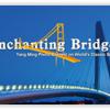 Yang  Ming Photo Contest on World’s Classic Bridges”