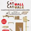 ประกวดออกแบบผนังแมวเหมียว "Cat wall Cat walk – กำแพงนี้ พี่ให้เหมียว"