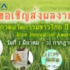 ประกวดนวัตกรรมข้าวไทย ปี 2562 : Rice Innovation Awards 2019
